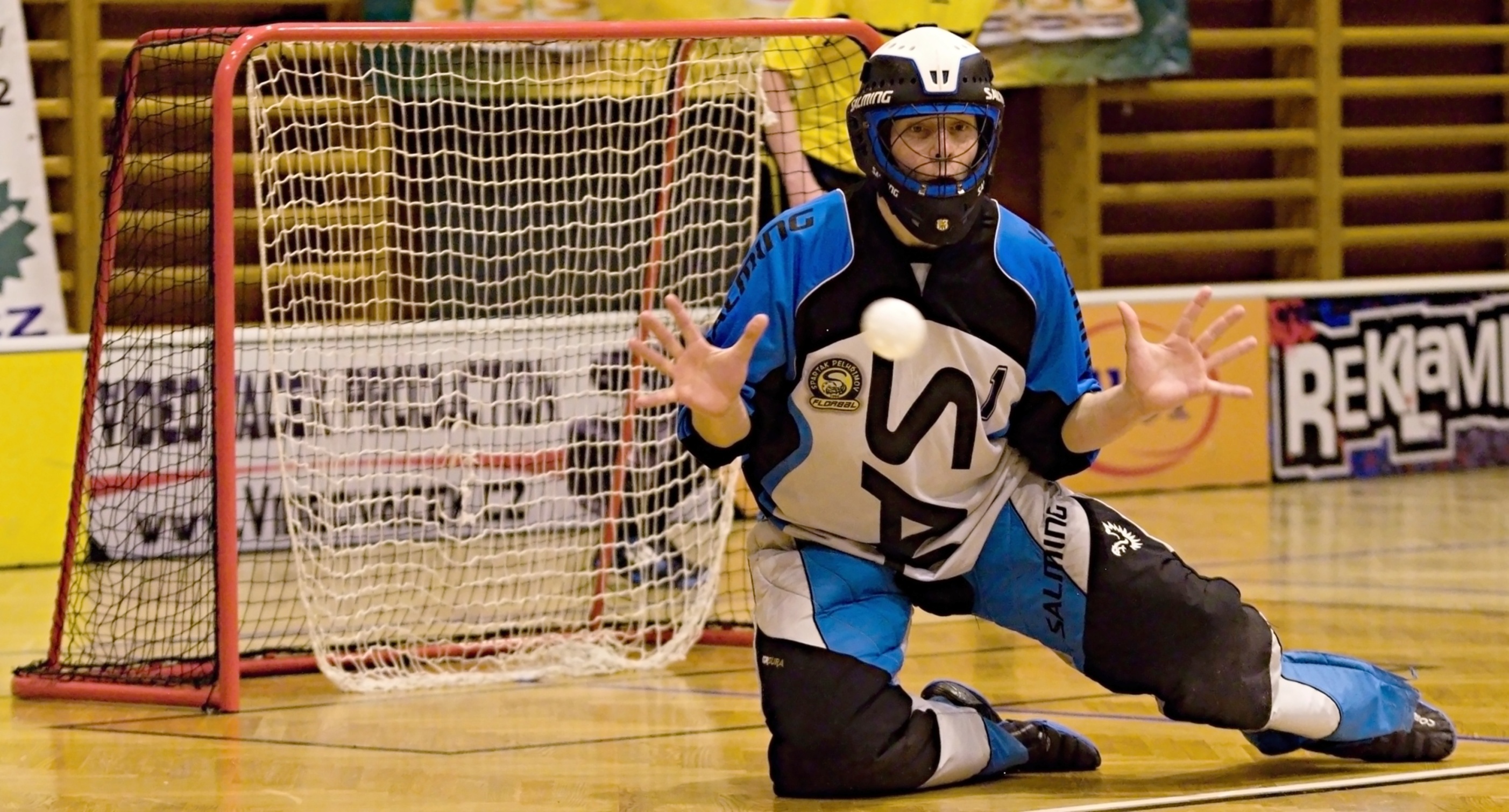 Pe.A   PArdubice 16.2.2013 (11)